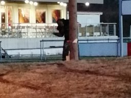 22_Fasnetsvergraben 2024